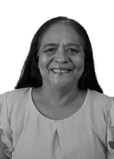 PROFESSORA SOCORRO GOMES
