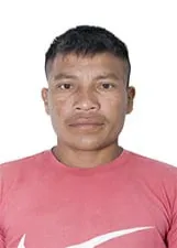 Louro de Cumarú