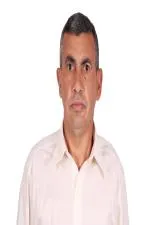 TINO