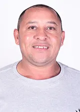 ABELHA MECANICO