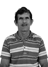 VERALDINO