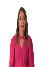 PROFESSORA ZEZINHA