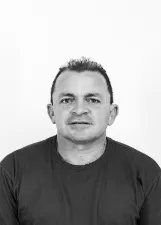 NINHA DE POÇO DE PAU