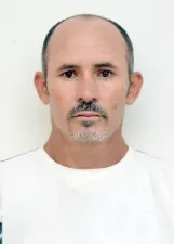 Galego Formigueiro