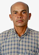 PALMEIRINHA