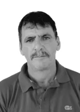 TEIA CARTEIRO