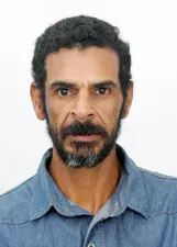 Bem-te-vi Catanga