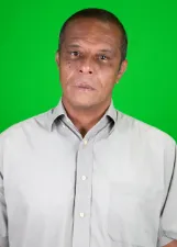 Volp Maia