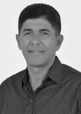 ABELHA DA AMBULÂNCIA