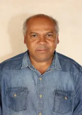 Tatu de Camargo