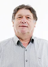 PROFESSOR LICA