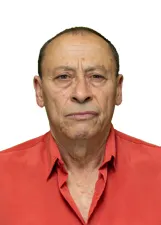 Palmeira