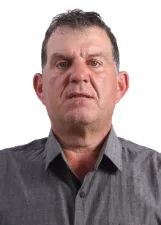 Loivo