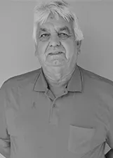 Alcides Baldassim