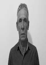 ZULMIRO DO PAU BRASIL