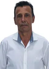 Lambari