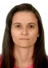 SIRLEI