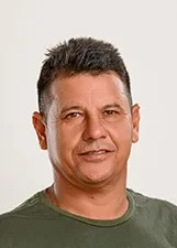GATO DA CIDADE ALTA