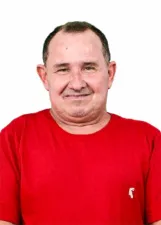 Gato Félix
