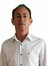 Palito