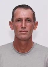 SARDINHA