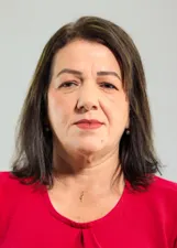 Professora Erineide