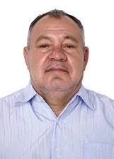 Alcino Palmeirense