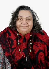 Professora Pedrina
