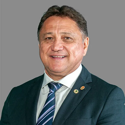 Joao Cardoso Professor Auditor