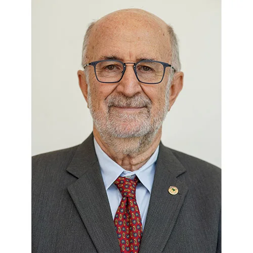 Luiz Paulo