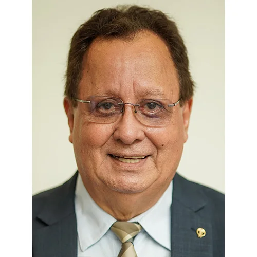 Dionisio Lins