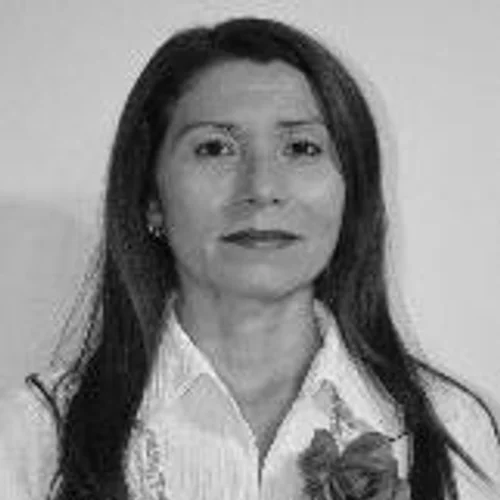 Prof. Ronilce de Sá