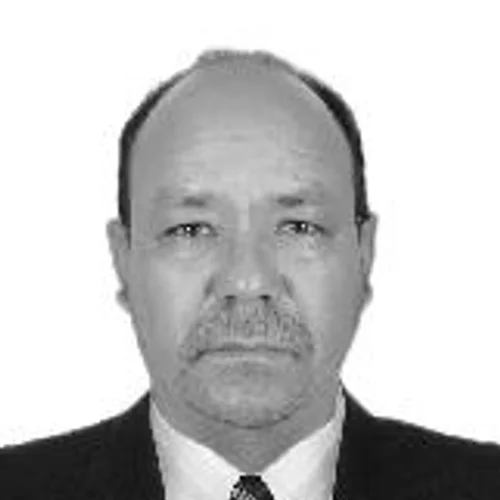 FERNANDO M MARTINS