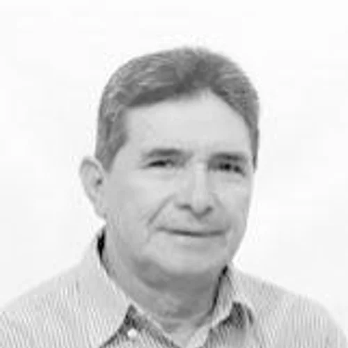 Irmão Léo