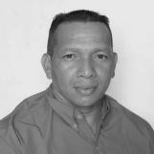 HAMILTON ALVES