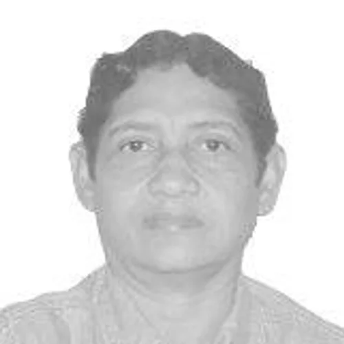 Lu Almeida