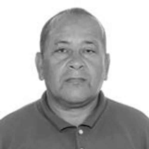 Bito do Milho Verde