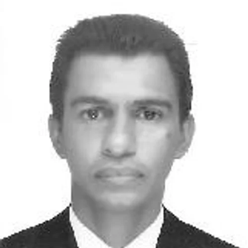 ABELHA
