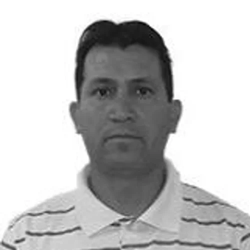 Flavio Demarchi (presença)