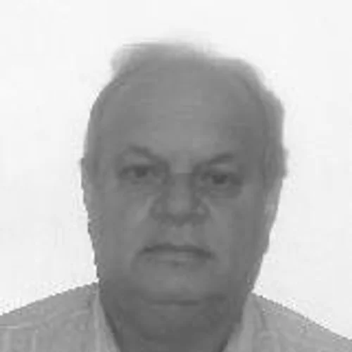 Luiz Fogão