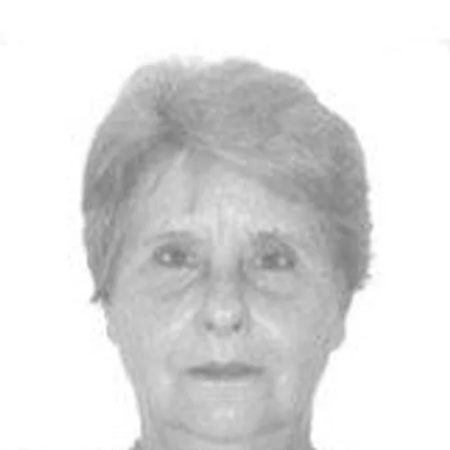 Ivani das Massas