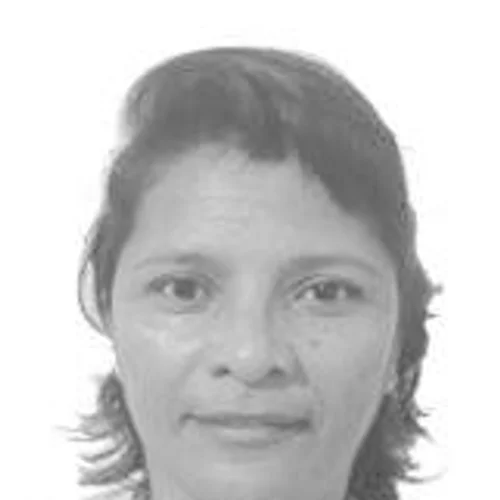 Professora Telminha