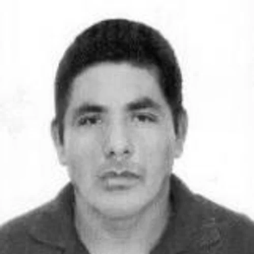 Divino
