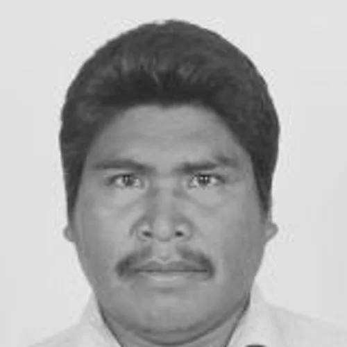 Saulo Katitaurlu