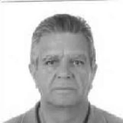Ivo Gonzaga