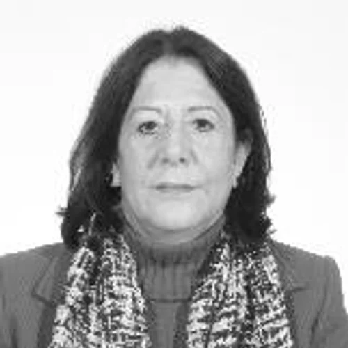 Prof. Dirneide