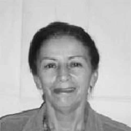Ana Bode