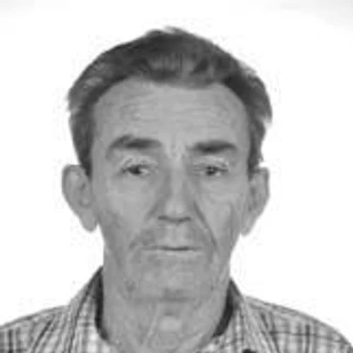 DELMO TOFFANELLI