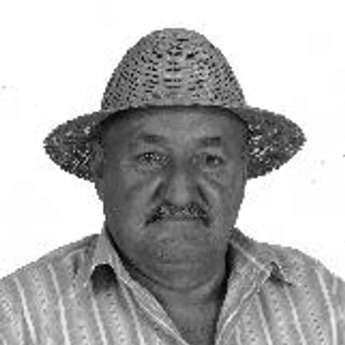 ARAPONGA