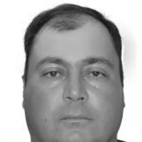 Renato (repolho)
